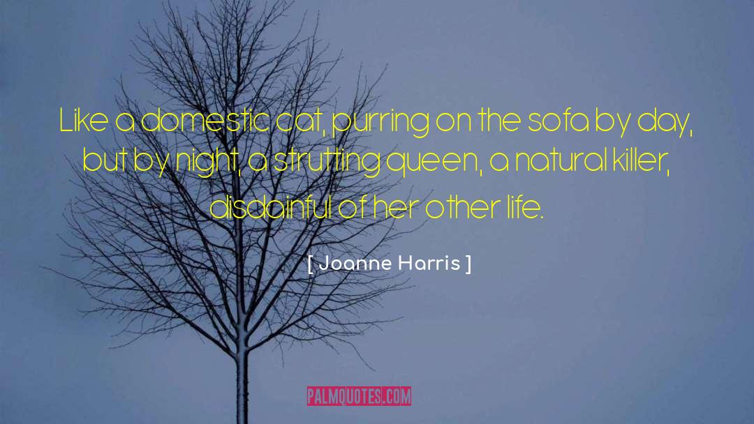 Joanne Harris Quotes: Like a domestic cat, purring