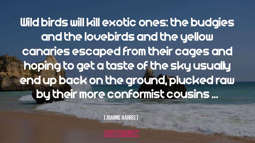 Joanne Harris Quotes: Wild birds will kill exotic