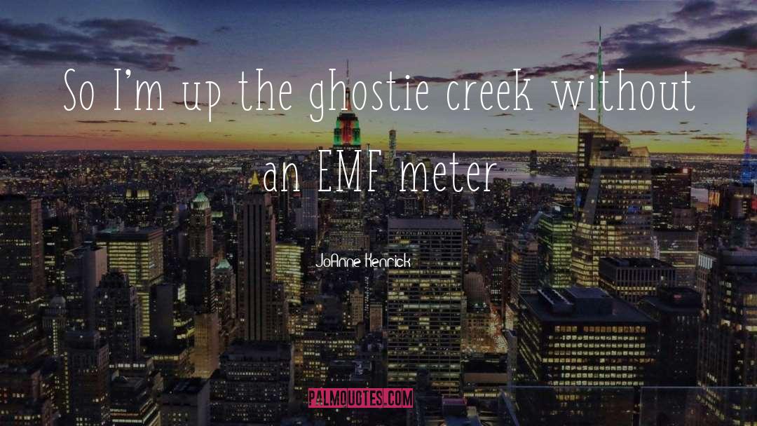 JoAnne Kenrick Quotes: So I'm up the ghostie