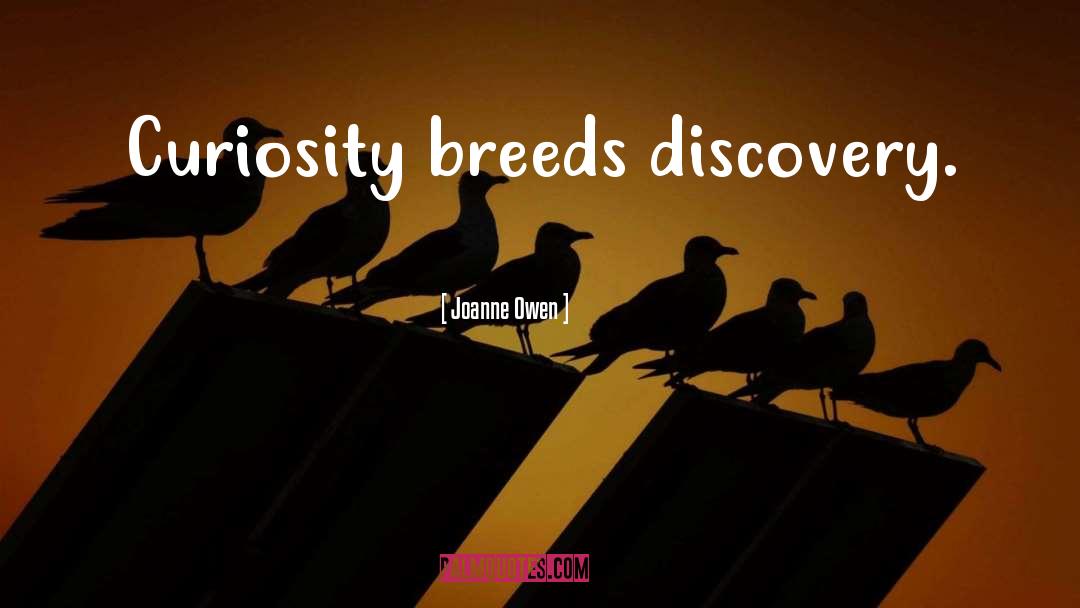 Joanne Owen Quotes: Curiosity breeds discovery.