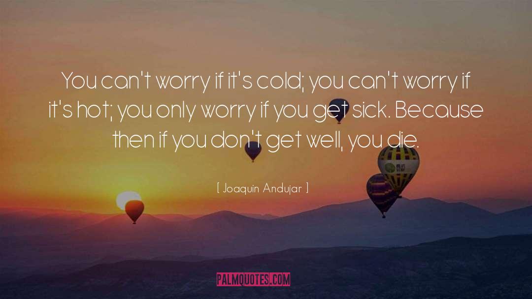 Joaquin Andujar Quotes: You can't worry if it's