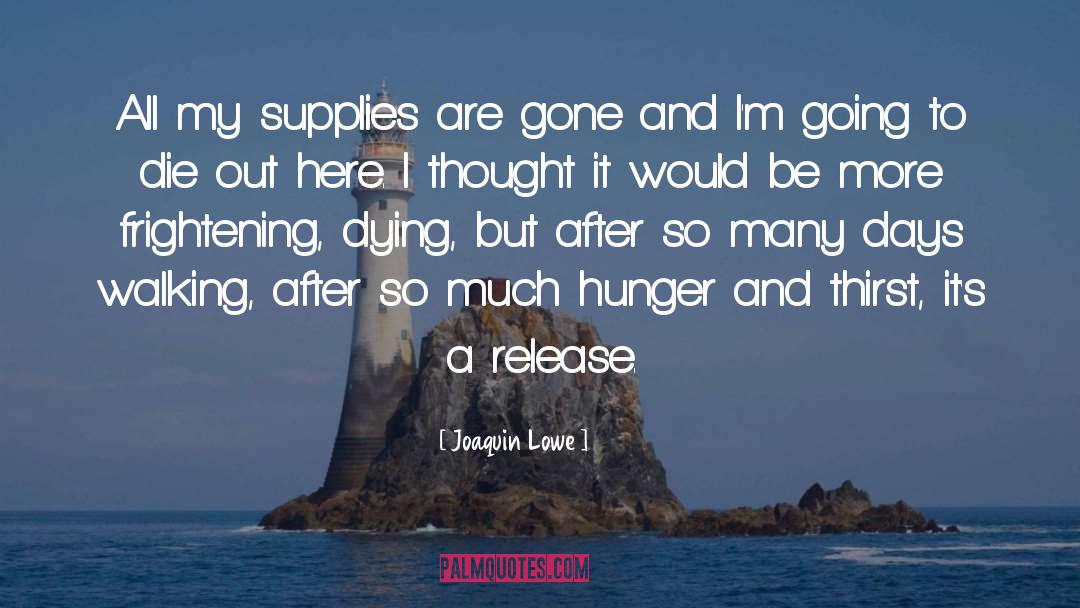 Joaquin Lowe Quotes: All my supplies are gone