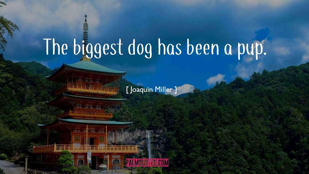 Joaquin Miller Quotes: The biggest dog has been
