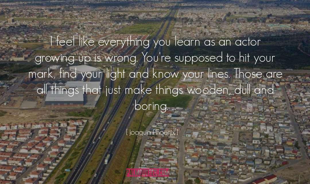 Joaquin Phoenix Quotes: I feel like everything you