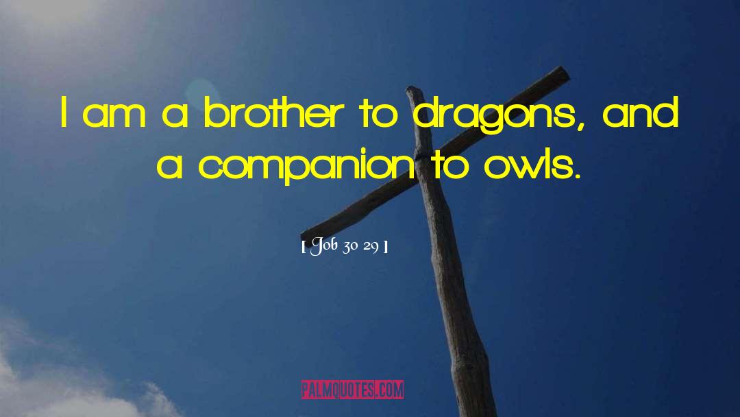 Job 30 29 Quotes: I am a brother to
