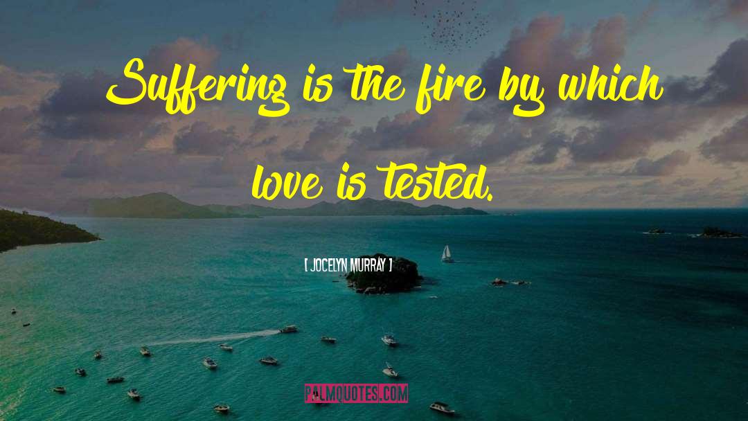 Jocelyn Murray Quotes: Suffering is the fire by