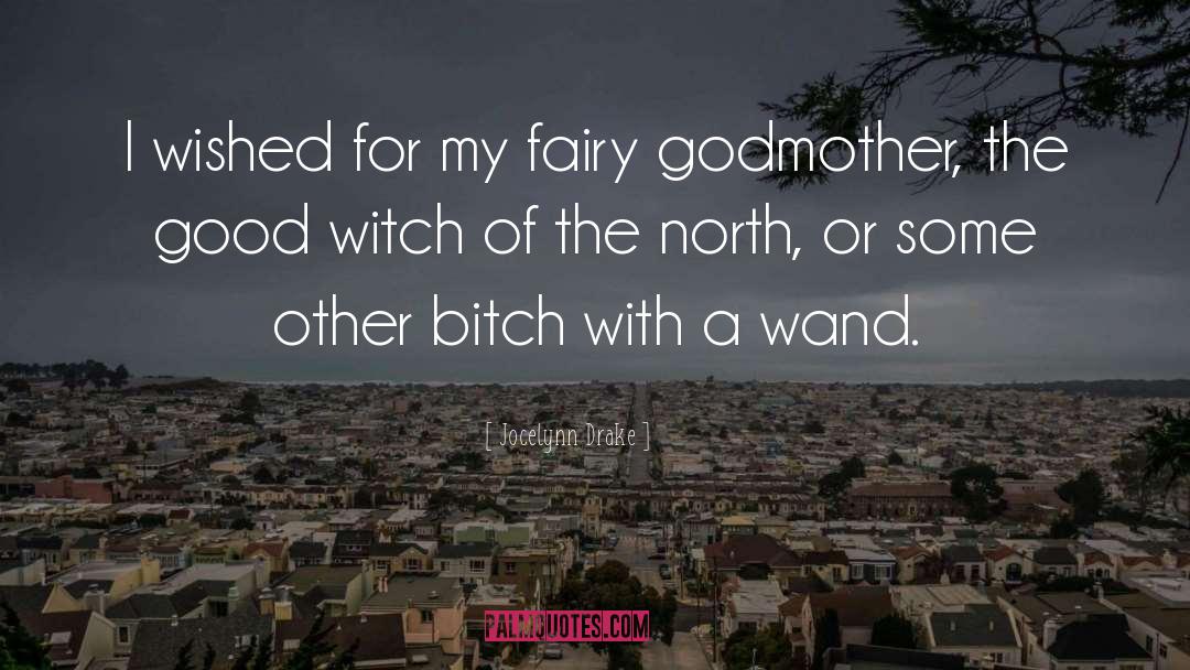 Jocelynn Drake Quotes: I wished for my fairy
