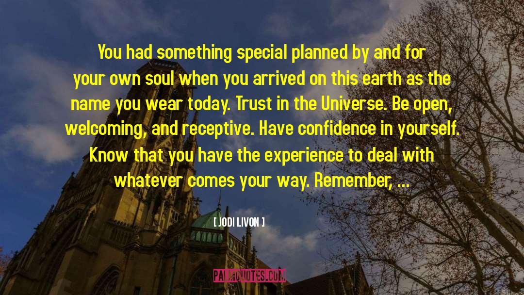 Jodi Livon Quotes: You had something special planned