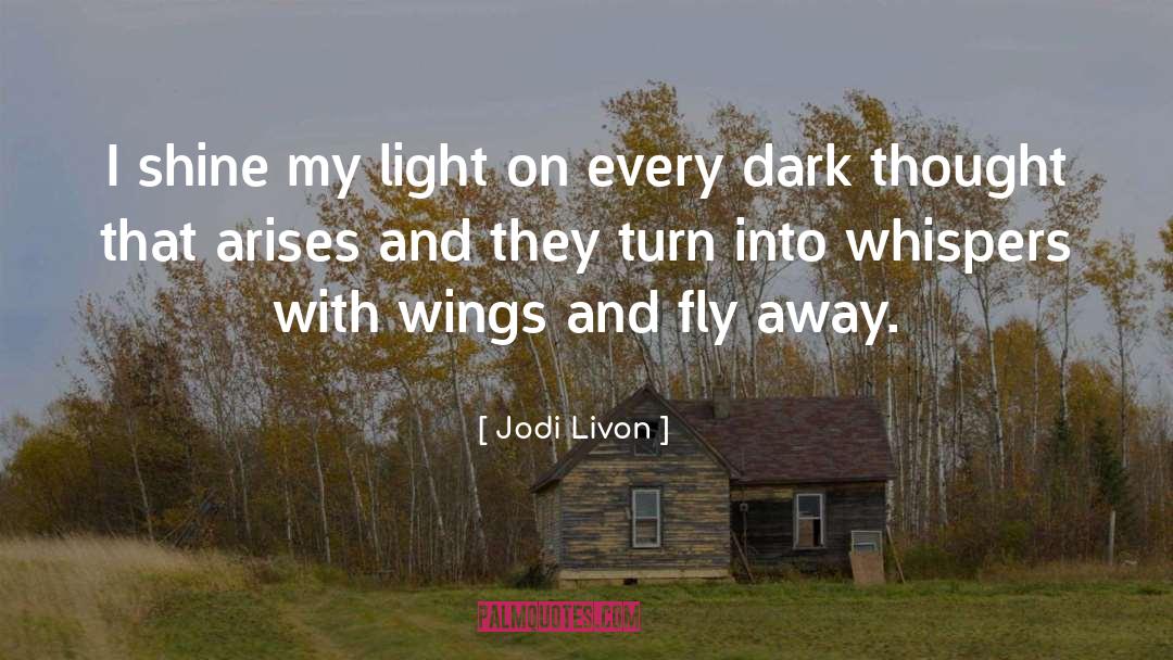 Jodi Livon Quotes: I shine my light on
