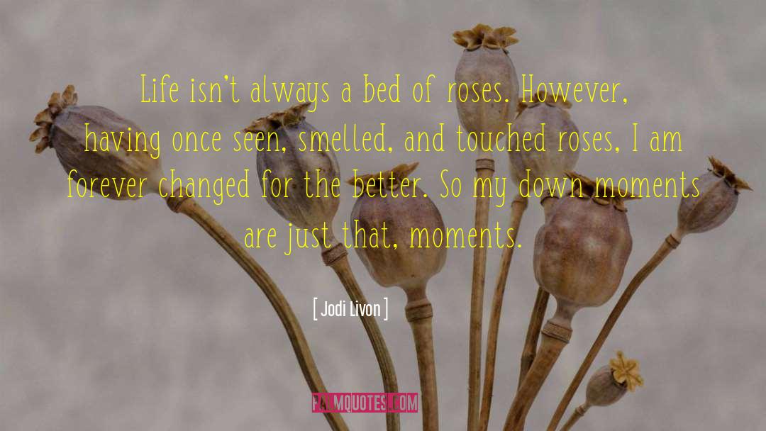 Jodi Livon Quotes: Life isn't always a bed