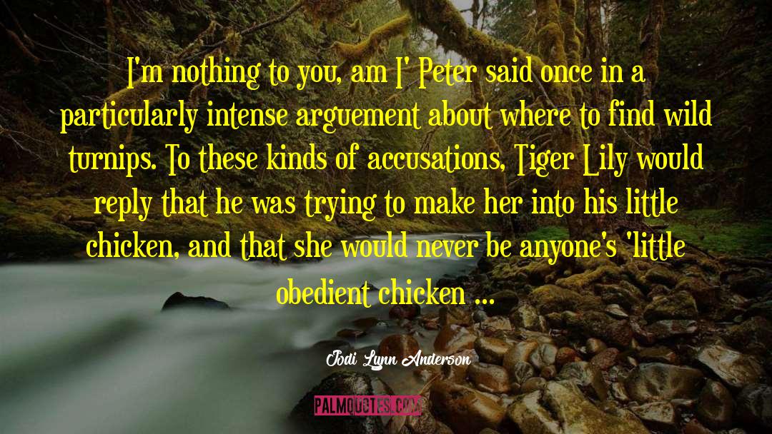 Jodi Lynn Anderson Quotes: I'm nothing to you, am