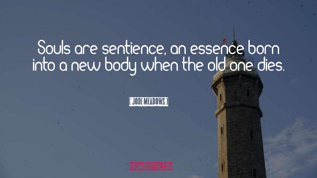 Jodi Meadows Quotes: Souls are sentience, an essence