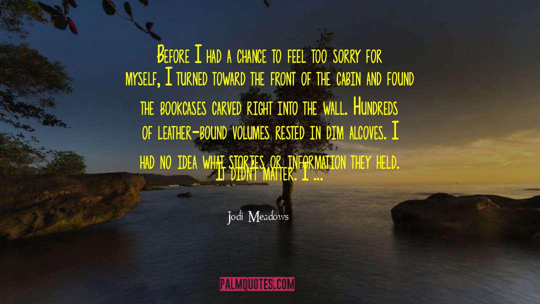 Jodi Meadows Quotes: Before I had a chance