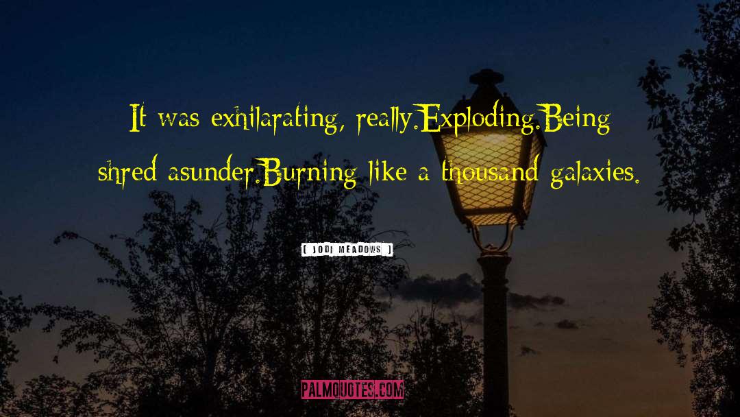 Jodi Meadows Quotes: It was exhilarating, really.<br />Exploding.<br