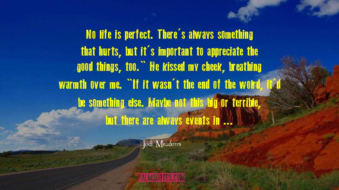 Jodi Meadows Quotes: No life is perfect. There's