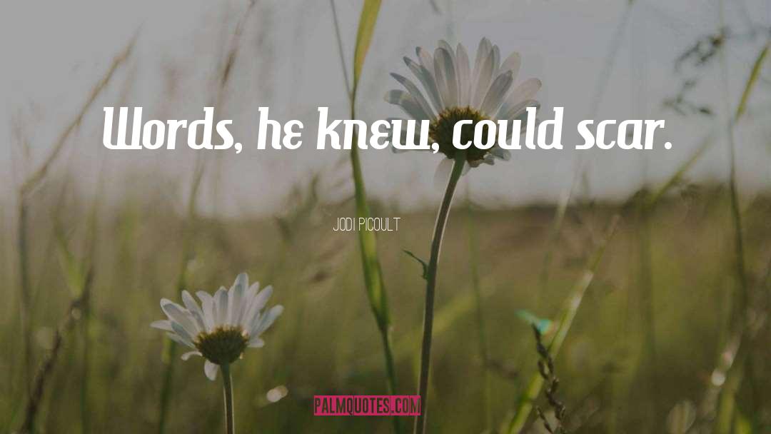 Jodi Picoult Quotes: Words, he knew, could scar.