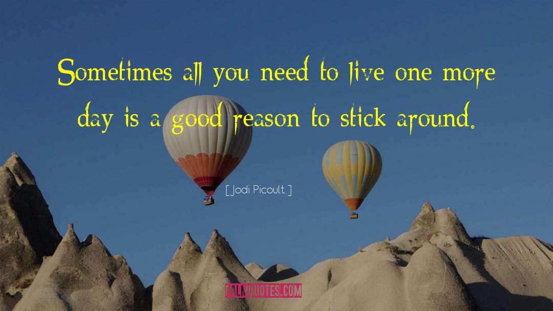 Jodi Picoult Quotes: Sometimes all you need to