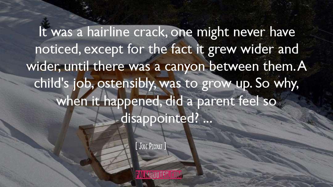 Jodi Picoult Quotes: It was a hairline crack,