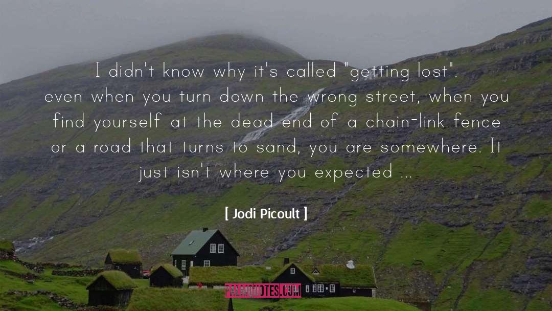 Jodi Picoult Quotes: I didn't know why it's