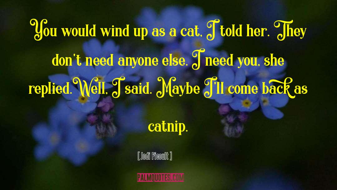 Jodi Picoult Quotes: You would wind up as