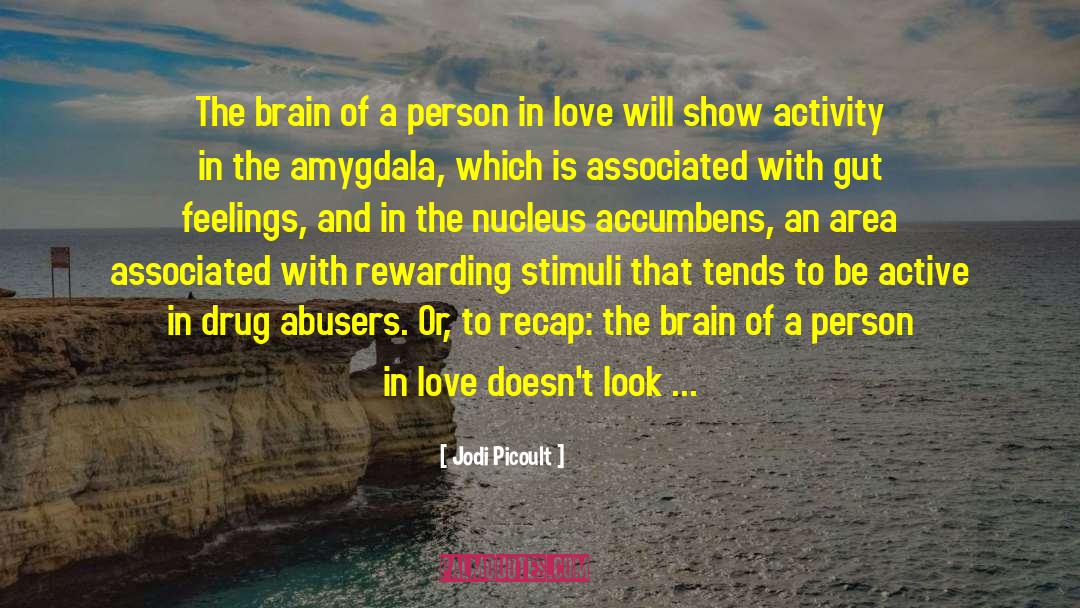 Jodi Picoult Quotes: The brain of a person