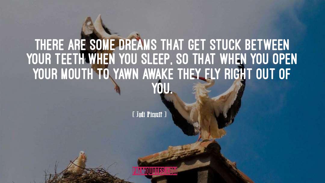 Jodi Picoult Quotes: There are some dreams that