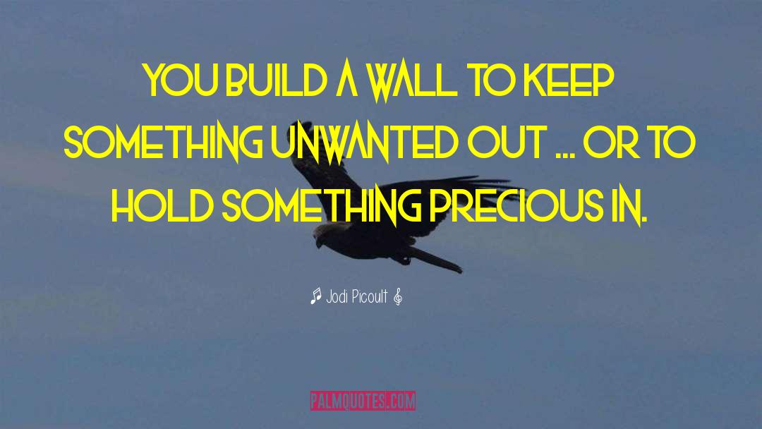 Jodi Picoult Quotes: You build a wall to