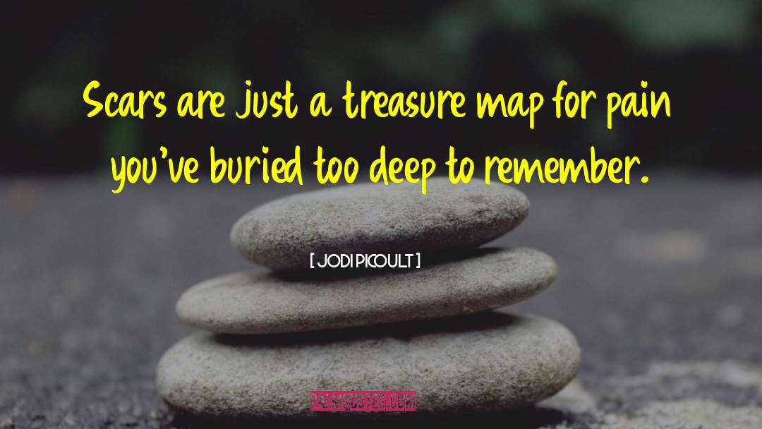 Jodi Picoult Quotes: Scars are just a treasure