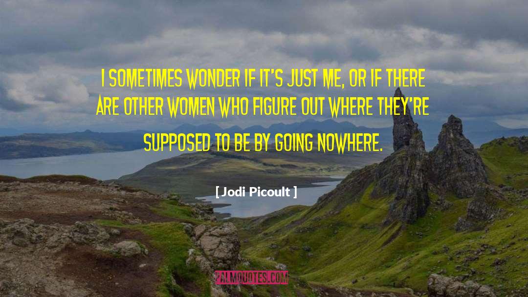 Jodi Picoult Quotes: I sometimes wonder if it's