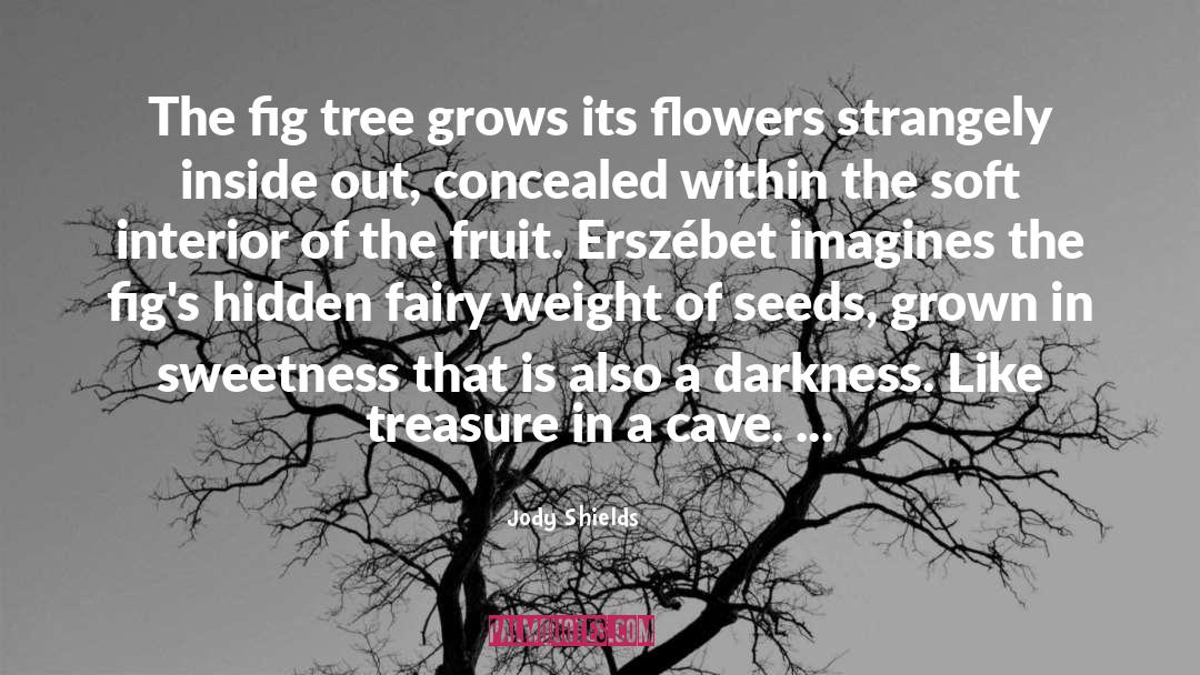 Jody Shields Quotes: The fig tree grows its