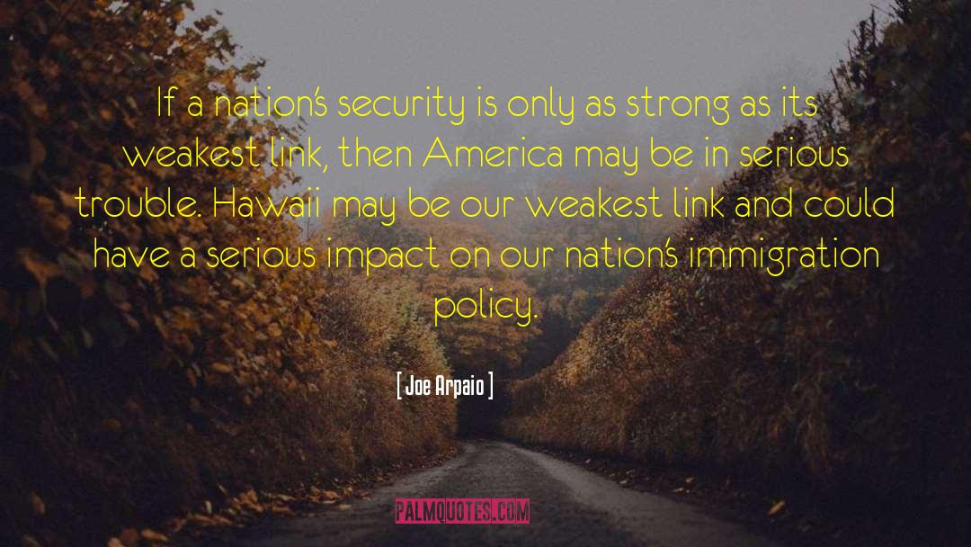 Joe Arpaio Quotes: If a nation's security is
