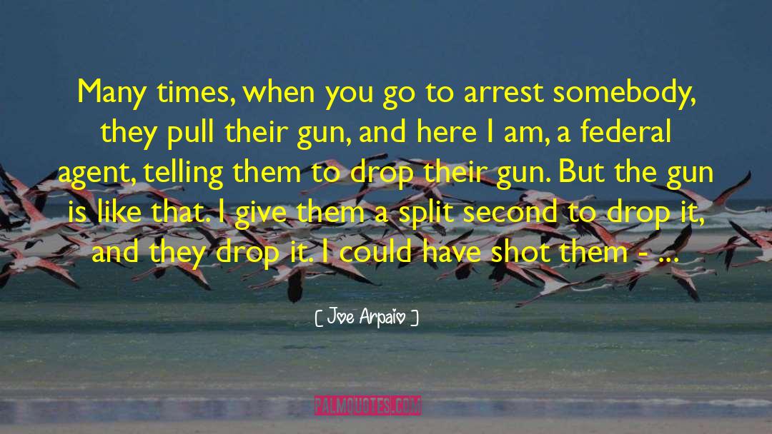 Joe Arpaio Quotes: Many times, when you go
