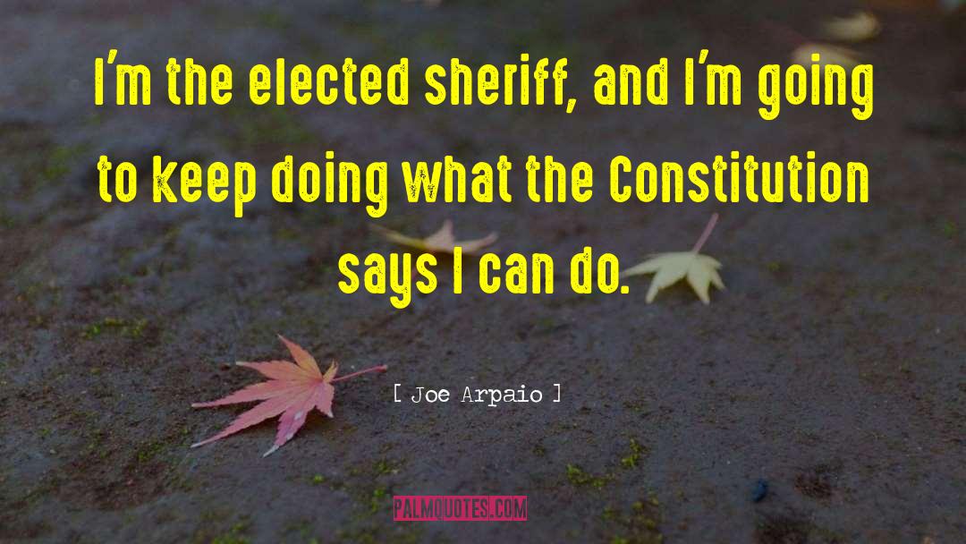 Joe Arpaio Quotes: I'm the elected sheriff, and