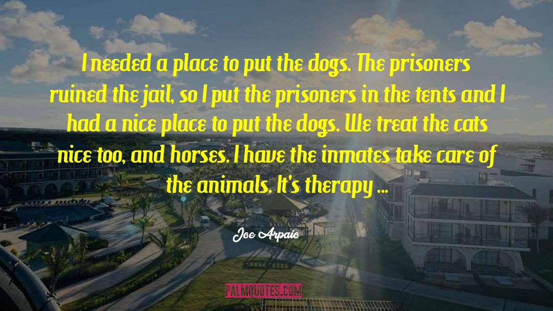 Joe Arpaio Quotes: I needed a place to