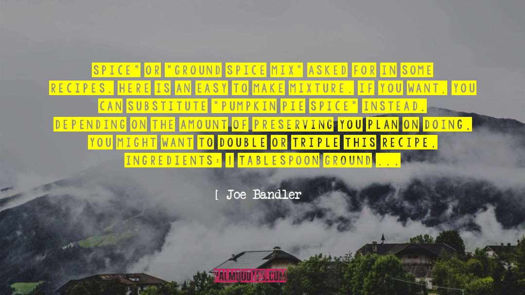 Joe Bandler Quotes: Spice
