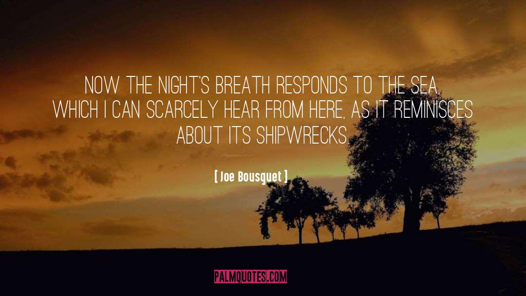 Joe Bousquet Quotes: Now the night's breath responds