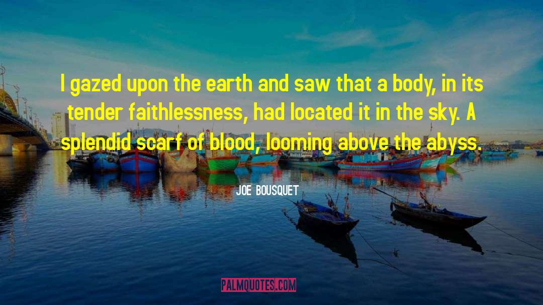 Joe Bousquet Quotes: I gazed upon the earth