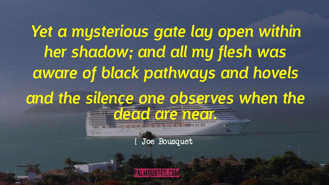 Joe Bousquet Quotes: Yet a mysterious gate lay