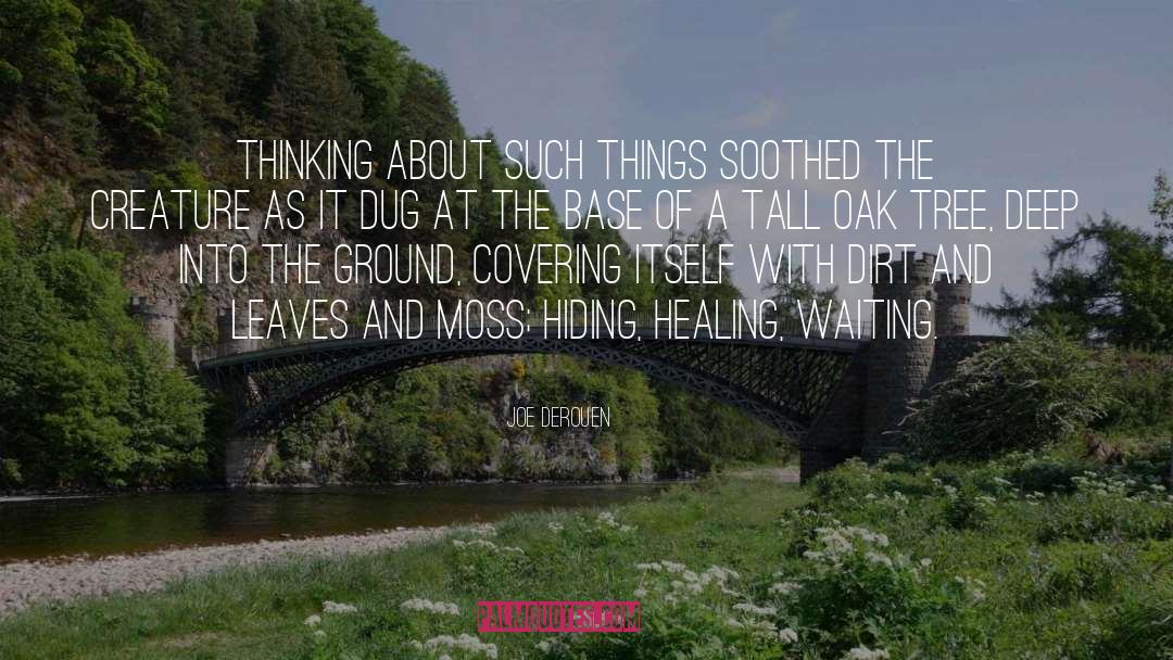 Joe DeRouen Quotes: Thinking about such things soothed