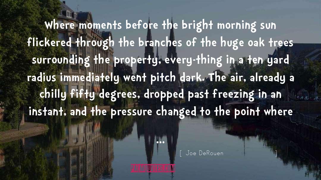 Joe DeRouen Quotes: Where moments before the bright