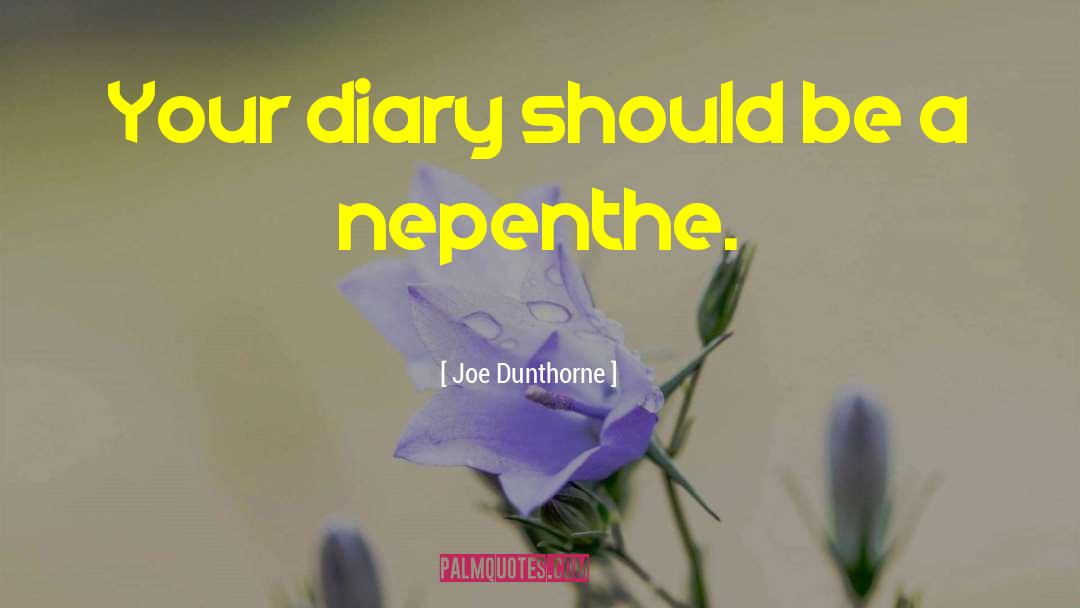 Joe Dunthorne Quotes: Your diary should be a