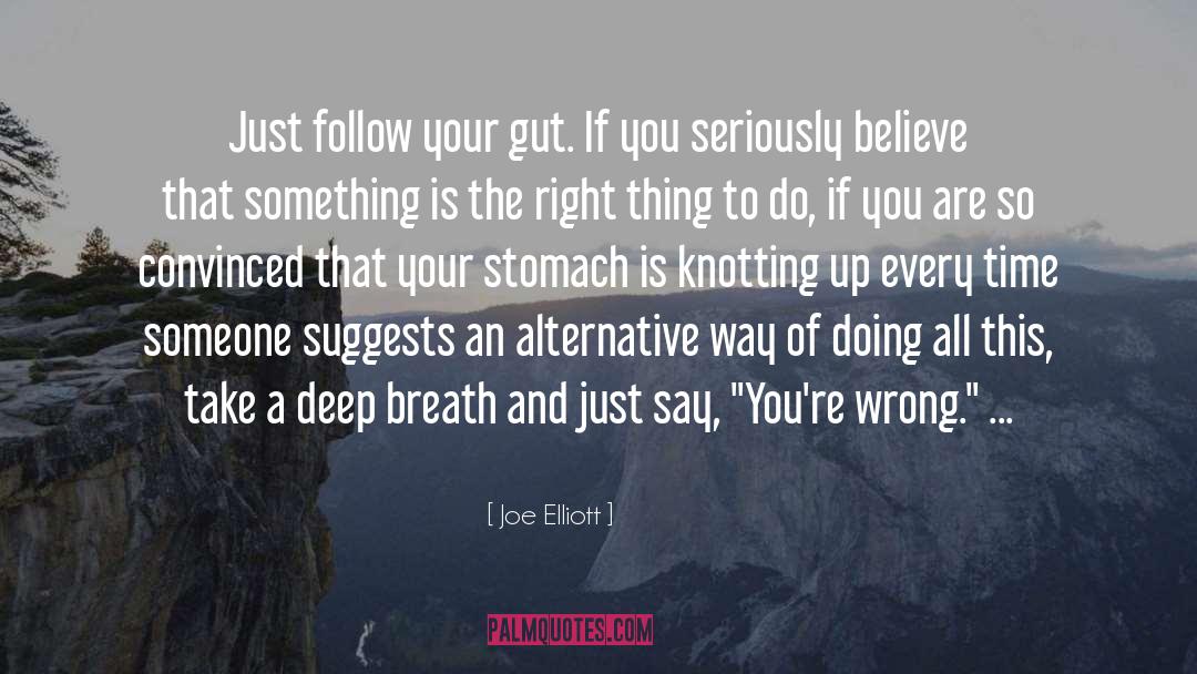 Joe Elliott Quotes: Just follow your gut. If