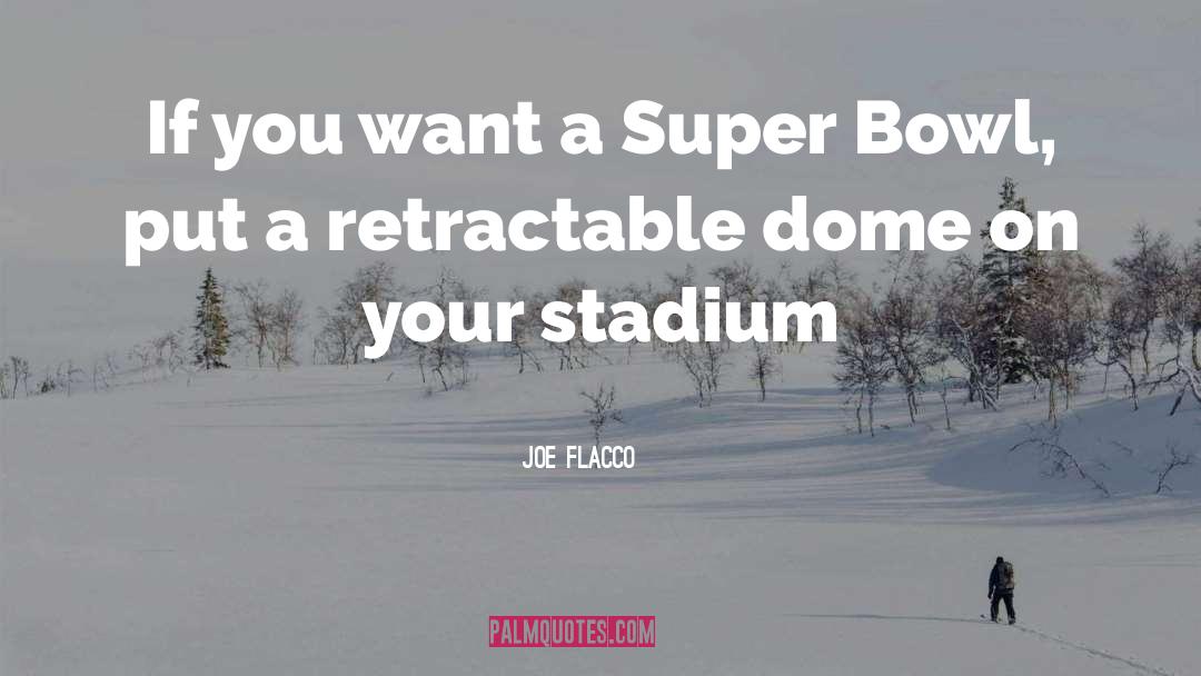 Joe Flacco Quotes: If you want a Super