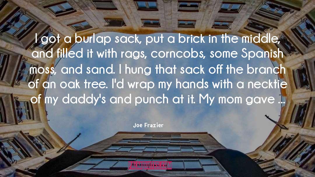 Joe Frazier Quotes: I got a burlap sack,