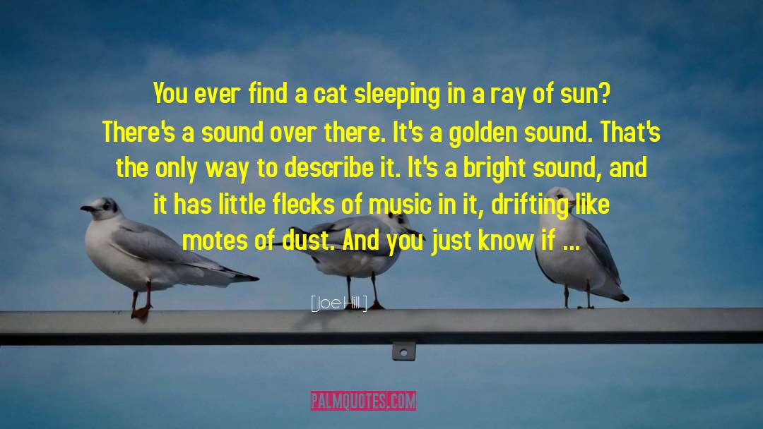 Joe Hill Quotes: You ever find a cat
