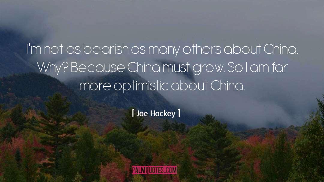 Joe Hockey Quotes: I'm not as bearish as