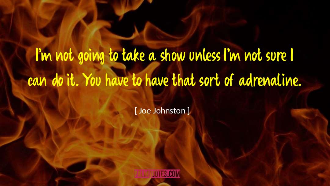 Joe Johnston Quotes: I'm not going to take