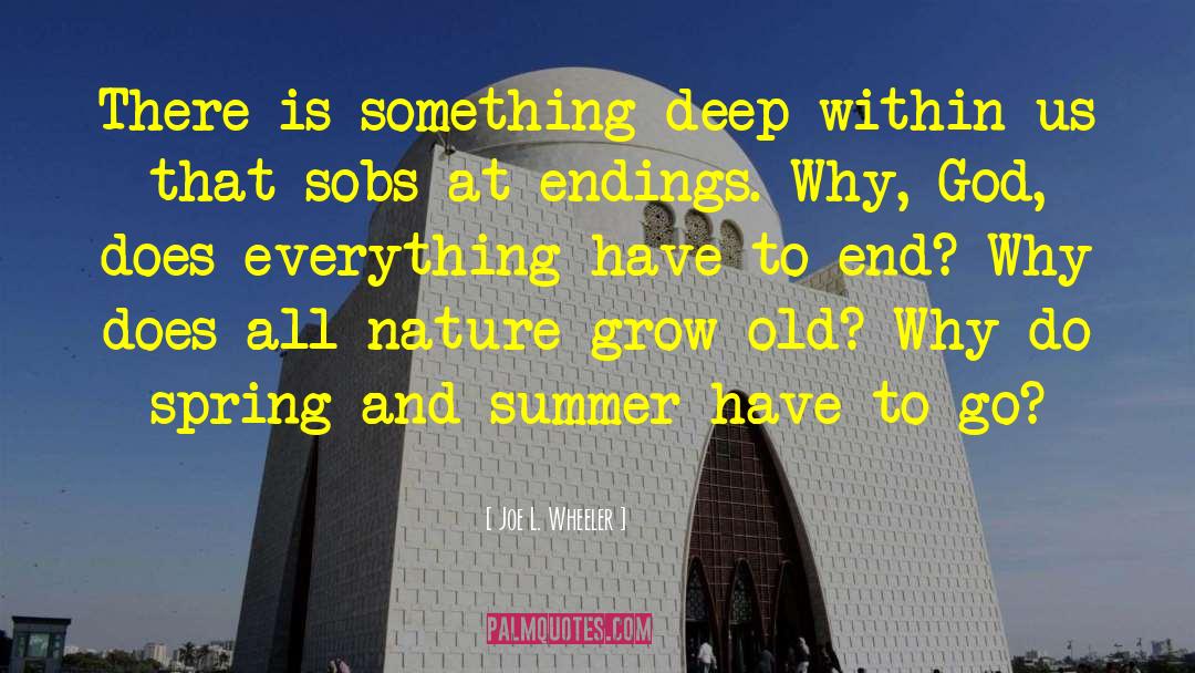 Joe L. Wheeler Quotes: There is something deep within