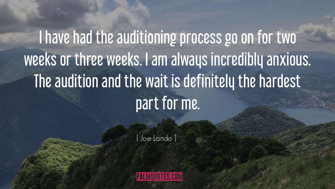 Joe Lando Quotes: I have had the auditioning