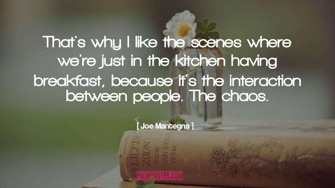 Joe Mantegna Quotes: That's why I like the